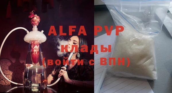 хмурый Аркадак