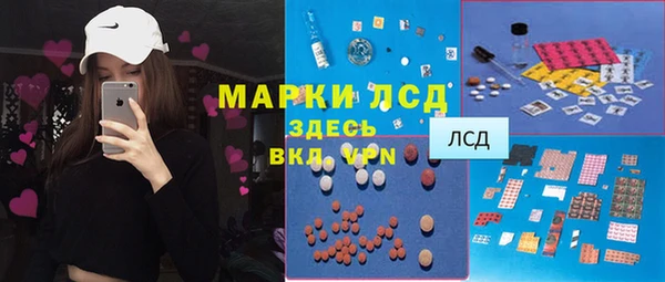 хмурый Аркадак