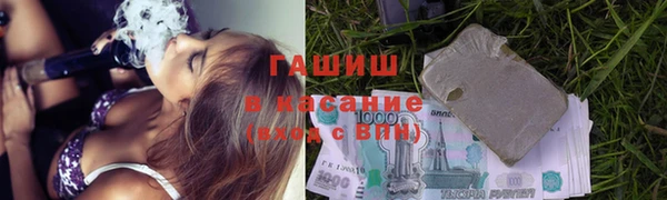 хмурый Аркадак