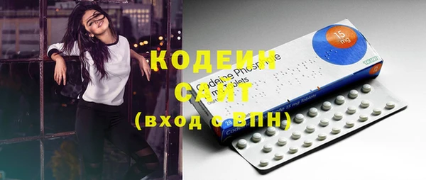 хмурый Аркадак