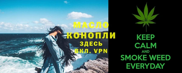 хмурый Аркадак