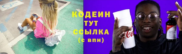соль ск Арсеньев