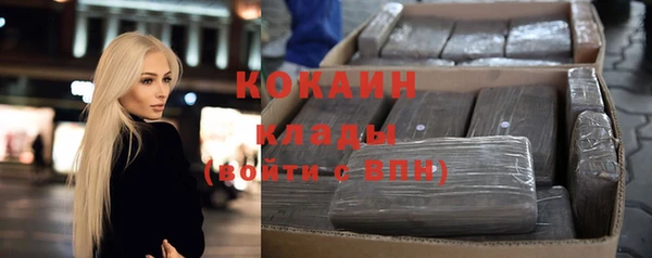 хмурый Аркадак