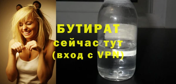 хмурый Аркадак