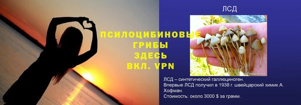хмурый Аркадак