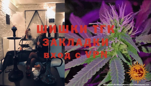 хмурый Аркадак