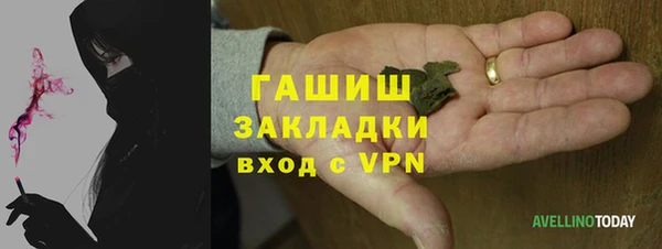 хмурый Аркадак