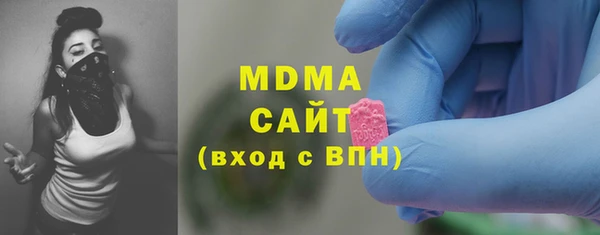 хмурый Аркадак