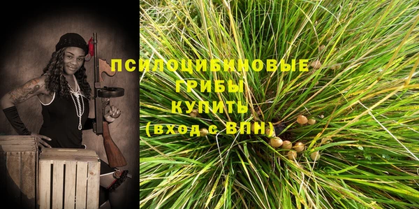 хмурый Аркадак