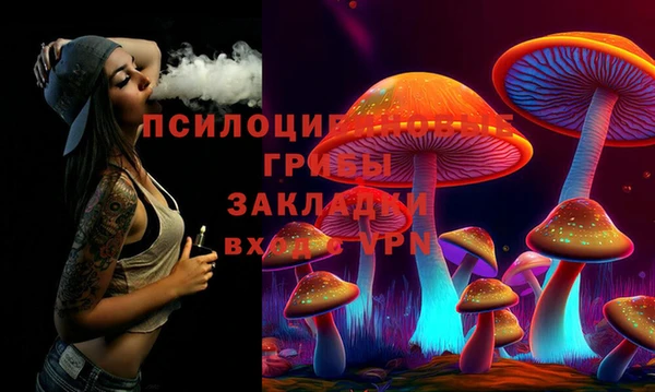хмурый Аркадак