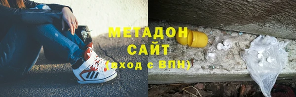 хмурый Аркадак